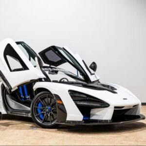 2019 McLaren Senna Handwork